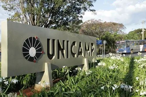 Unicamp oferece 9 cursos gratuitos de TI online 1