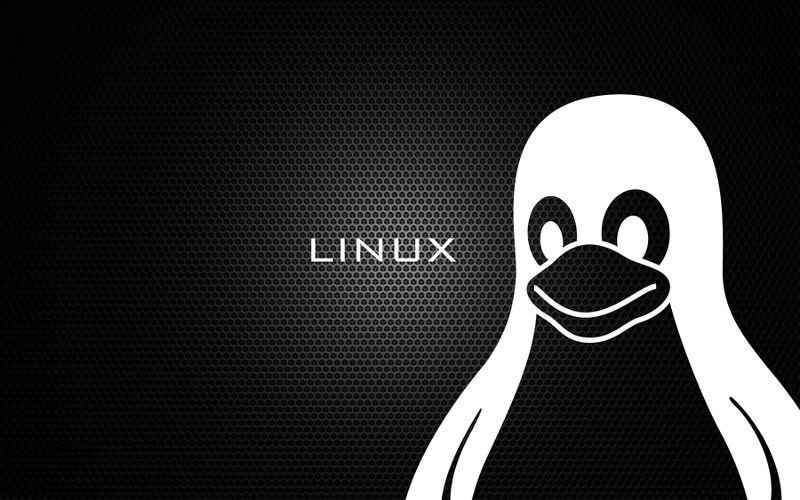 30 comandos essenciais que todo usuário Linux precisa saber 6