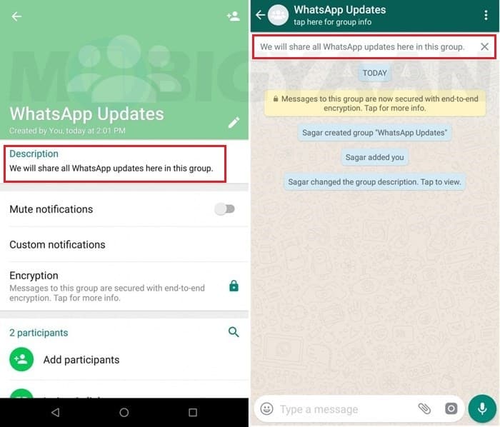 WhatsApp libera nova função para grupos e outras novidades; Confira 1