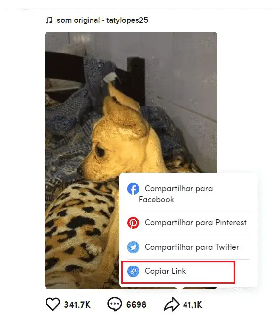 Como baixar Vídeo e Áudio do TikTok On-line 1