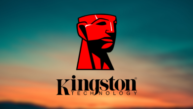 Kingston: capacitando fotógrafos para capturar momentos inesquecíveis